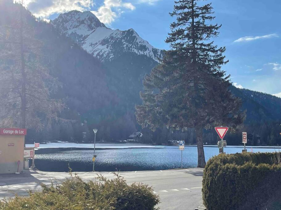 Charmant 2,5 Pieces Avec Jardin A 2 Pas Du Lac Champex-Lac Exterior photo
